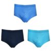 MEN EXECUTIVE 100% COTTON COLOURED Y FRONT BRIEFS