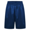 Boys/Girls/Adult Unisex Shadow Strip School PE Short With Drawstring in royal blue