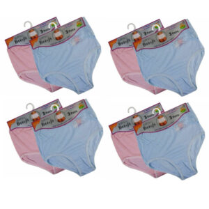Ladies Tunnel Elastic Full Briefs With Embroidery At Corner